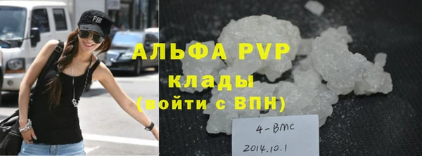 прущие грибы Кинешма