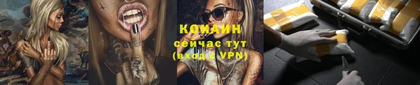 прущие грибы Кинешма