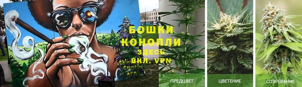 спиды Касимов