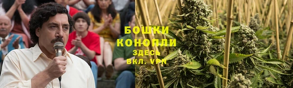 спиды Касимов