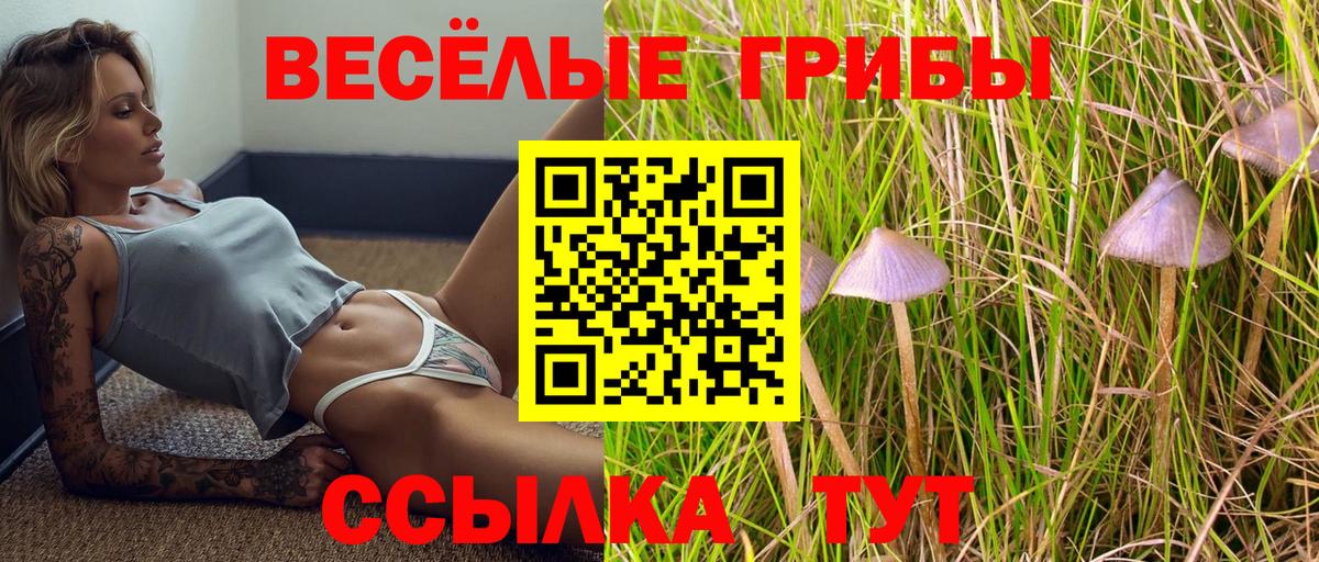 Луга  Псилоцибиновые грибы GOLDEN TEACHER  Вход с VPN 