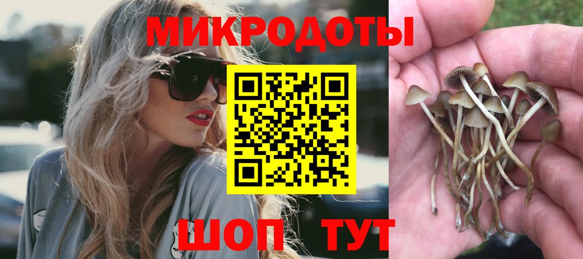 Псилоцибиновые грибы GOLDEN TEACHER Луга