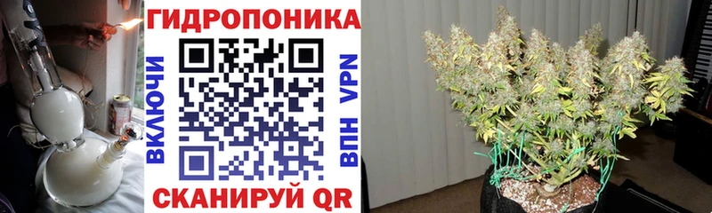 Бошки марихуана план  Луга 