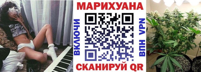 МАРИХУАНА конопля Луга